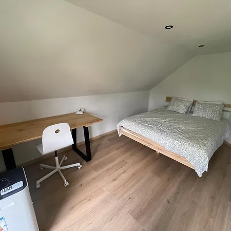 Ratasvaelja Seppen Lohkva