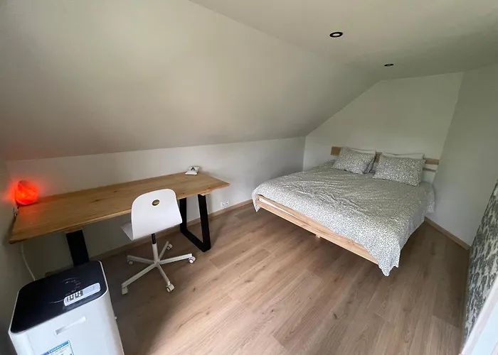 Ratasvaelja Seppen Lohkva